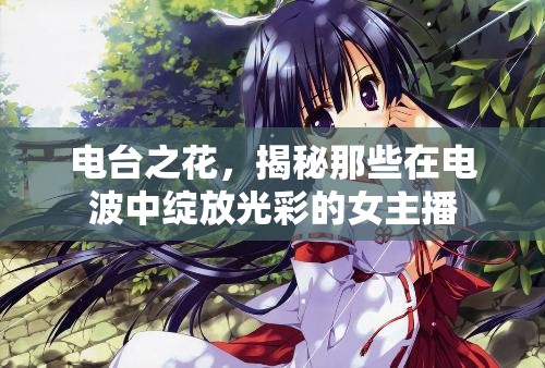 電臺之花，揭秘那些在電波中綻放光彩的女主播