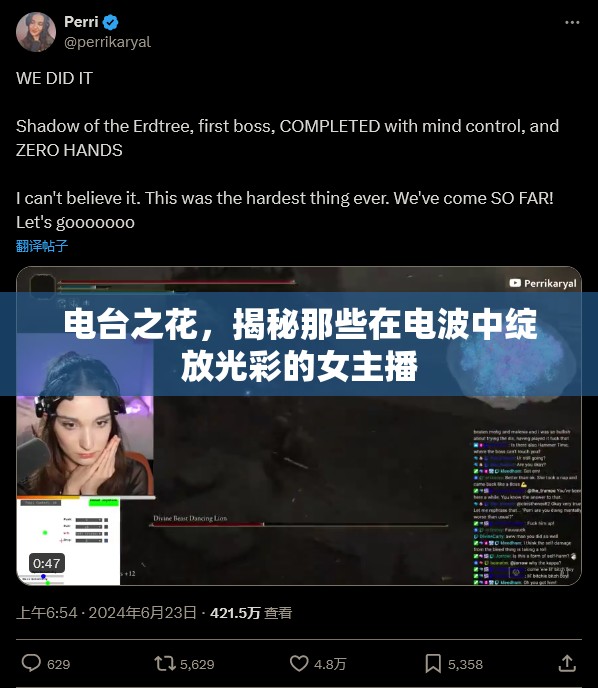 電臺之花，揭秘那些在電波中綻放光彩的女主播