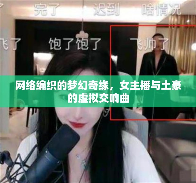網(wǎng)絡(luò)編織的夢幻奇緣，女主播與土豪的虛擬交響曲