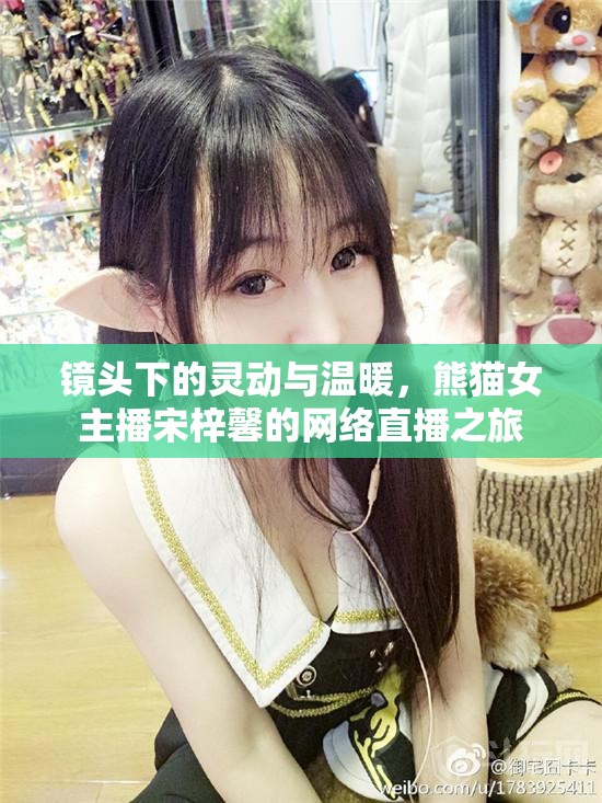 鏡頭下的靈動(dòng)與溫暖，熊貓女主播宋梓馨的網(wǎng)絡(luò)直播之旅