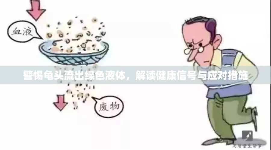 警惕龜頭流出綠色液體，解讀健康信號與應(yīng)對措施