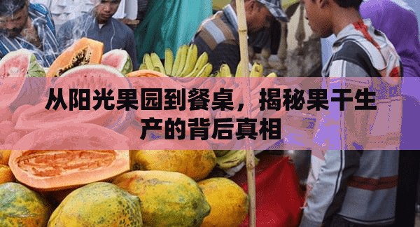 從陽(yáng)光果園到餐桌，揭秘果干生產(chǎn)的背后真相