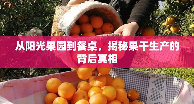 從陽(yáng)光果園到餐桌，揭秘果干生產(chǎn)的背后真相