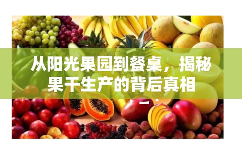 從陽(yáng)光果園到餐桌，揭秘果干生產(chǎn)的背后真相