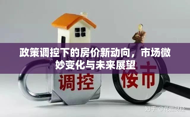 政策調控下的房價新動向，市場微妙變化與未來展望