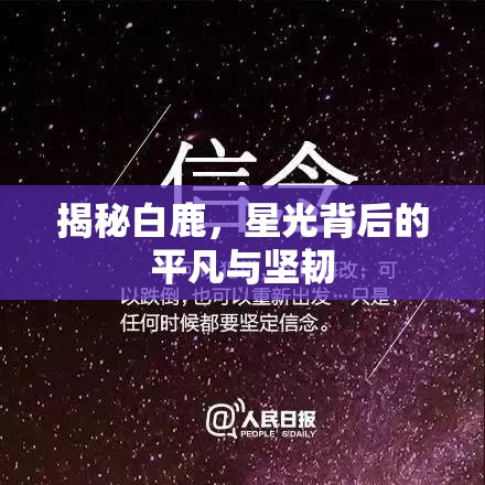 揭秘白鹿，星光背后的平凡與堅(jiān)韌