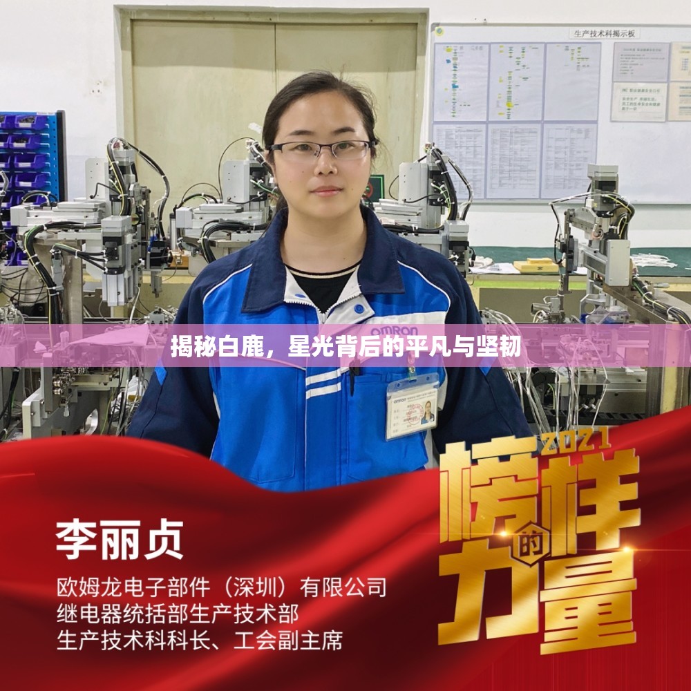 揭秘白鹿，星光背后的平凡與堅(jiān)韌
