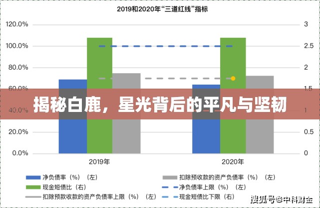 揭秘白鹿，星光背后的平凡與堅(jiān)韌
