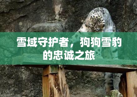 雪域守護(hù)者，狗狗雪豹的忠誠(chéng)之旅