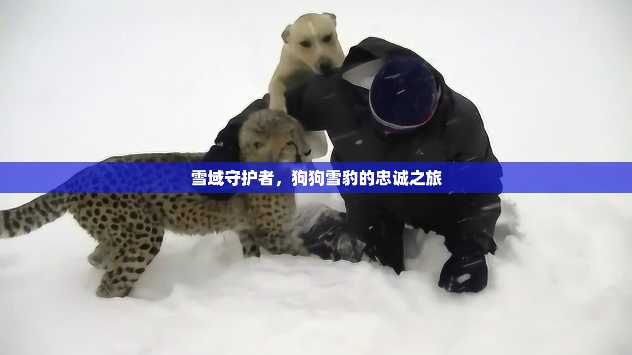 雪域守護(hù)者，狗狗雪豹的忠誠(chéng)之旅