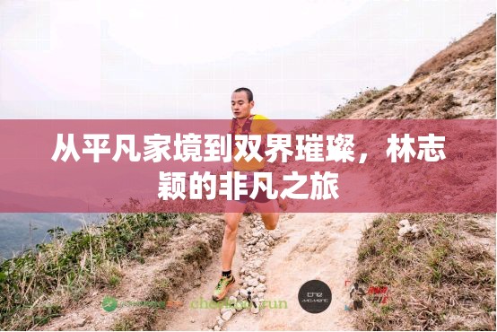 從平凡家境到雙界璀璨，林志穎的非凡之旅