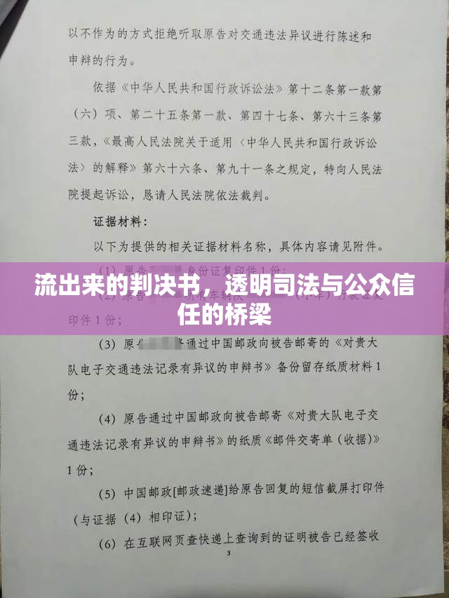 流出來的判決書，透明司法與公眾信任的橋梁