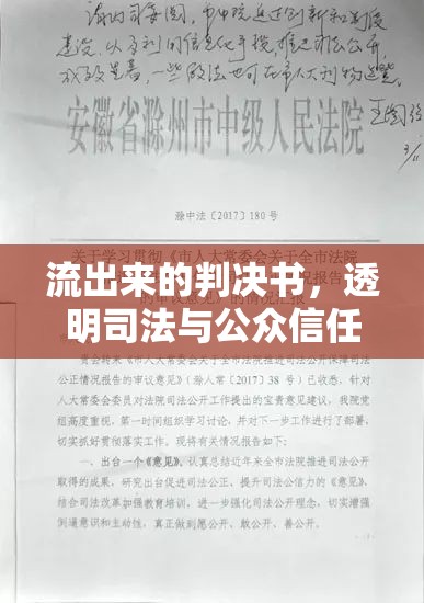 流出來的判決書，透明司法與公眾信任的橋梁