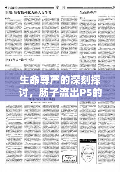 生命尊嚴(yán)的深刻探討，腸子流出PS的啟示