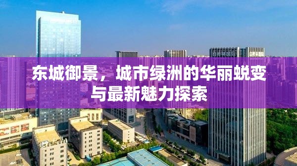 東城御景，城市綠洲的華麗蛻變與最新魅力探索