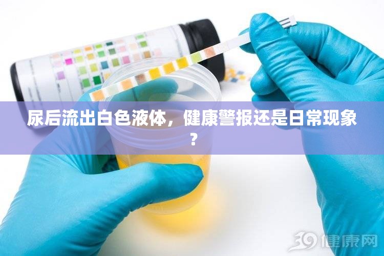 尿后流出白色液體，健康警報(bào)還是日?，F(xiàn)象？