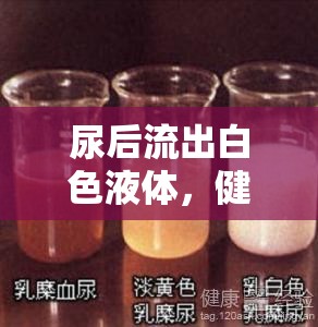 尿后流出白色液體，健康警報(bào)還是日?，F(xiàn)象？