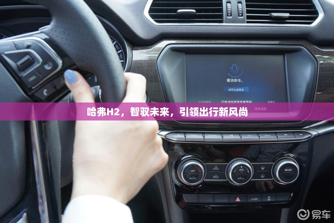 哈弗H2，智馭未來，引領(lǐng)出行新風(fēng)尚