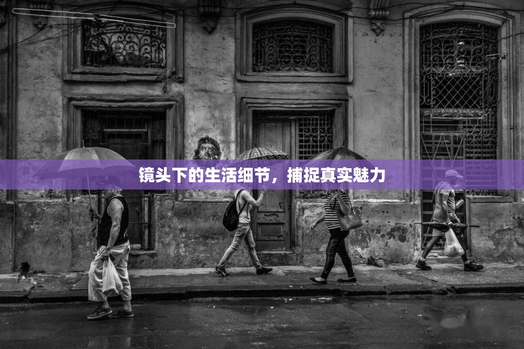 鏡頭下的生活細(xì)節(jié)，捕捉真實魅力