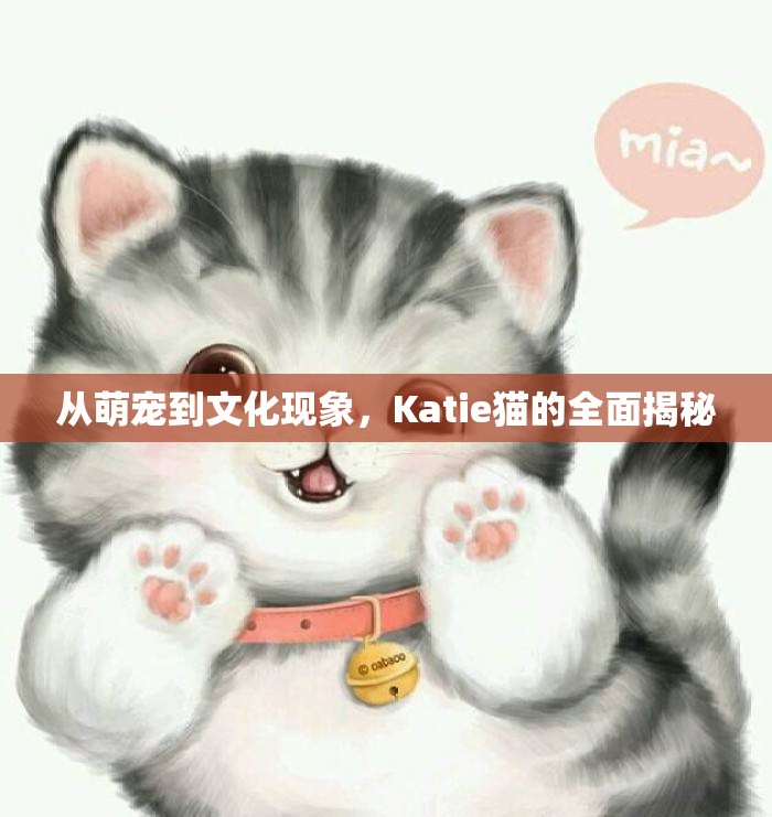 從萌寵到文化現(xiàn)象，Katie貓的全面揭秘