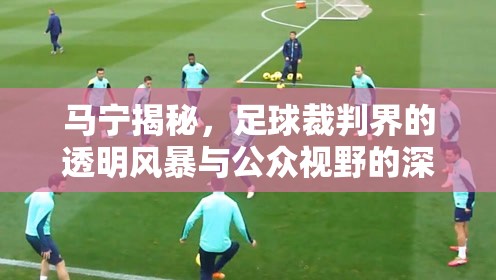 馬寧揭秘，足球裁判界的透明風(fēng)暴與公眾視野的深度對(duì)話