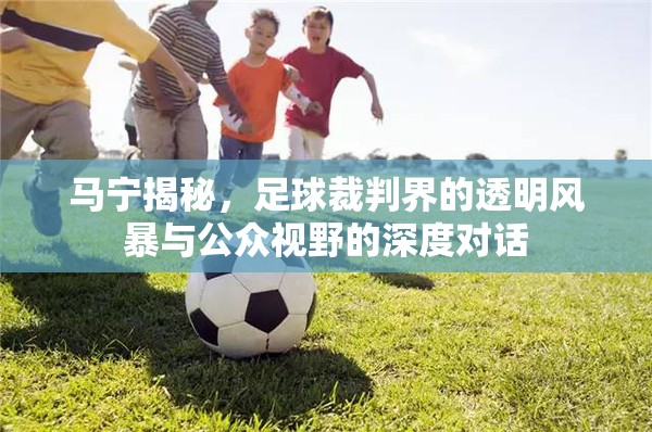 馬寧揭秘，足球裁判界的透明風(fēng)暴與公眾視野的深度對(duì)話