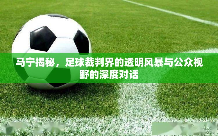 馬寧揭秘，足球裁判界的透明風(fēng)暴與公眾視野的深度對(duì)話