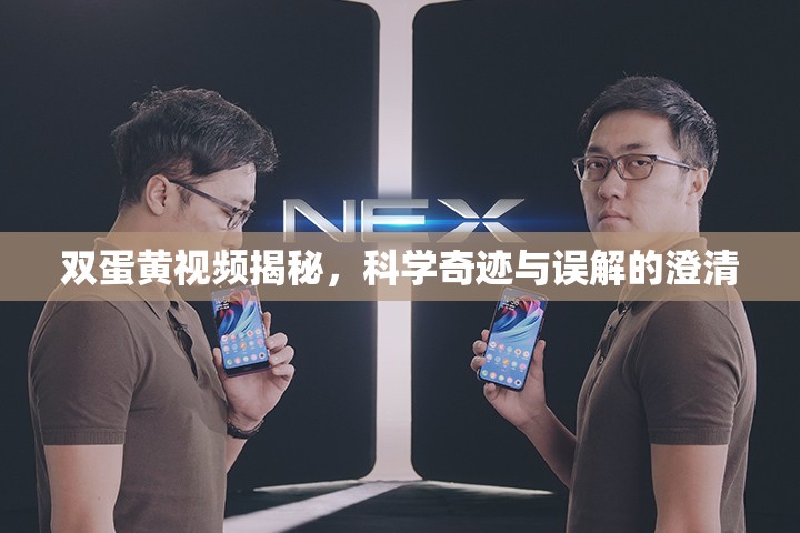 雙蛋黃視頻揭秘，科學(xué)奇跡與誤解的澄清