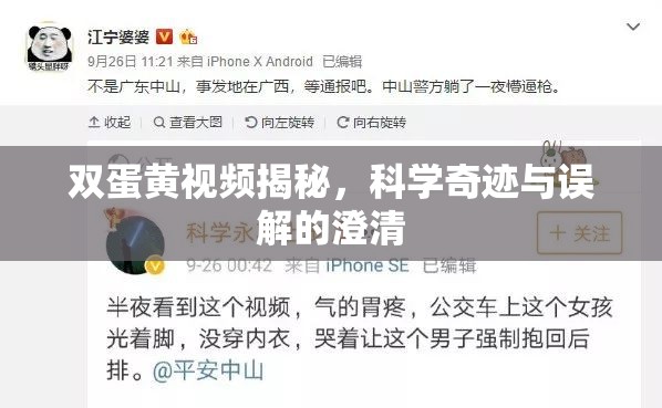雙蛋黃視頻揭秘，科學(xué)奇跡與誤解的澄清