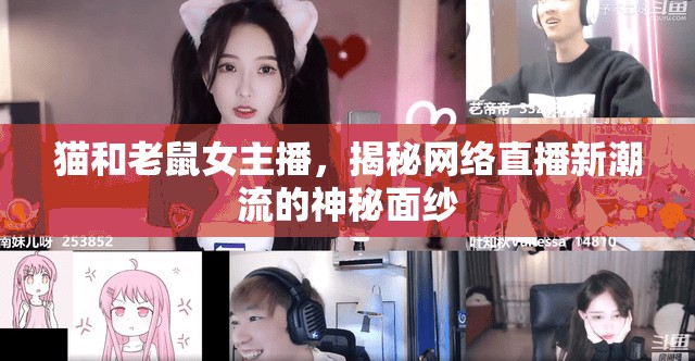 貓和老鼠女主播，揭秘網(wǎng)絡直播新潮流的神秘面紗