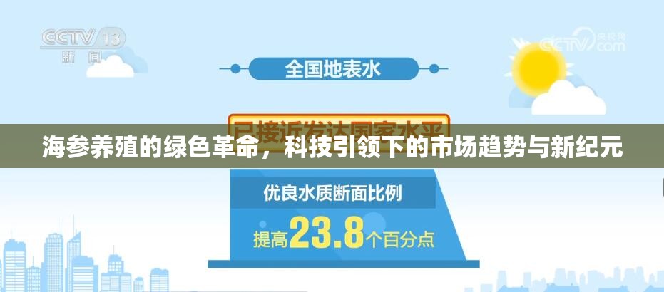 海參養(yǎng)殖的綠色革命，科技引領(lǐng)下的市場(chǎng)趨勢(shì)與新紀(jì)元