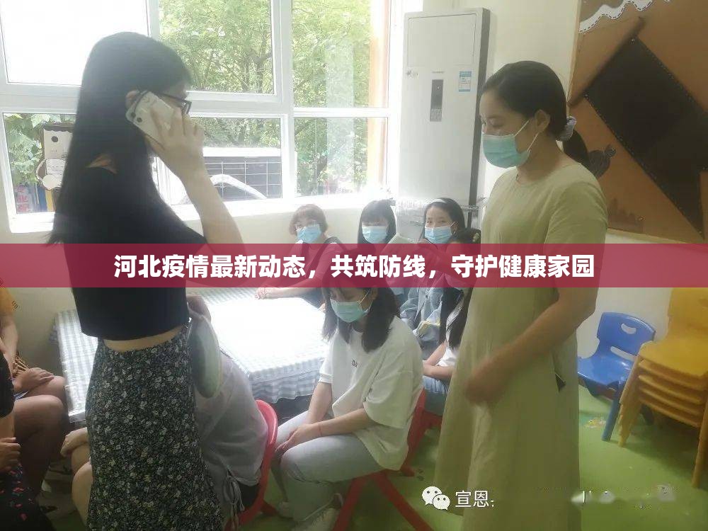 河北疫情最新動(dòng)態(tài)，共筑防線，守護(hù)健康家園