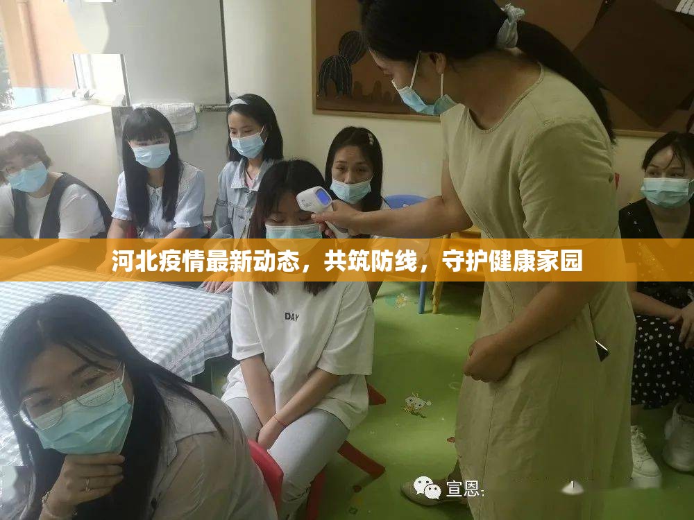 河北疫情最新動(dòng)態(tài)，共筑防線，守護(hù)健康家園