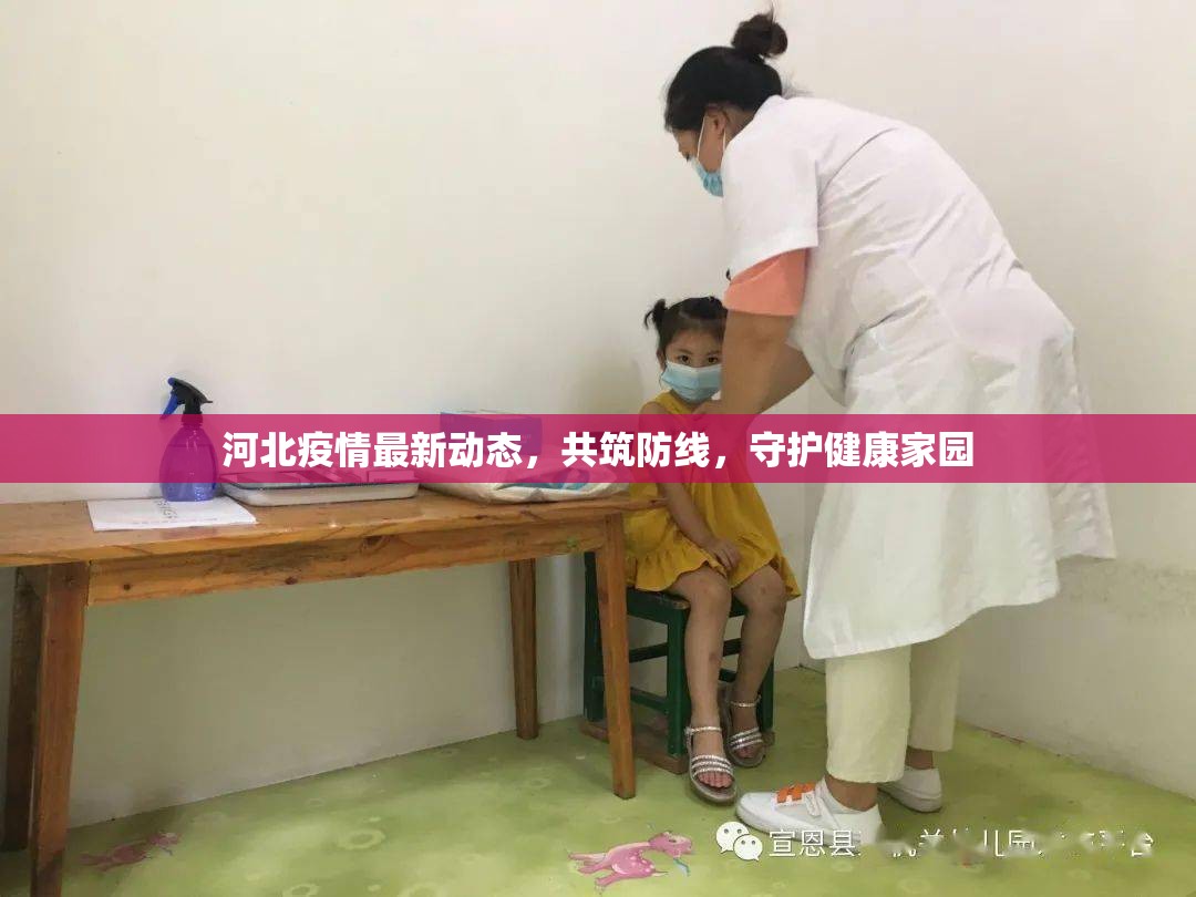 河北疫情最新動(dòng)態(tài)，共筑防線，守護(hù)健康家園