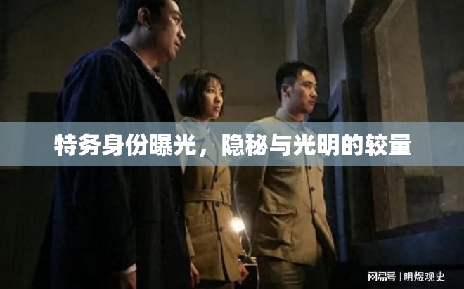 特務(wù)身份曝光，隱秘與光明的較量