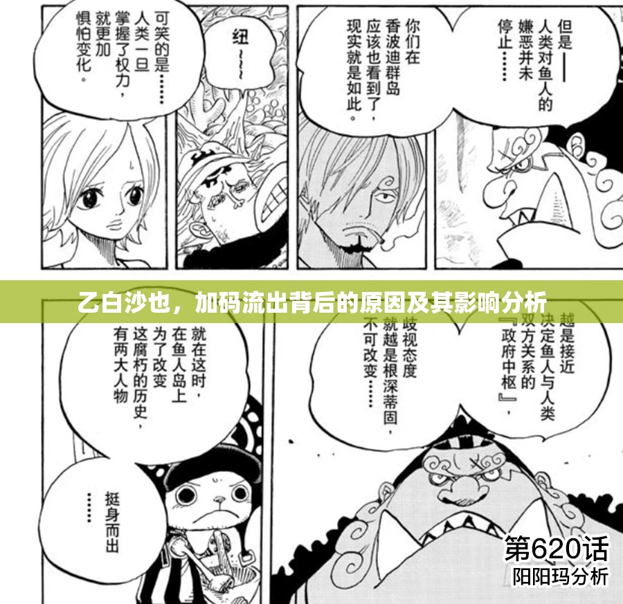 乙白沙也，加碼流出背后的原因及其影響分析