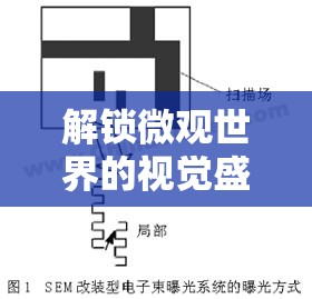 解鎖微觀世界的視覺盛宴，電鏡曝光調(diào)整的奧秘