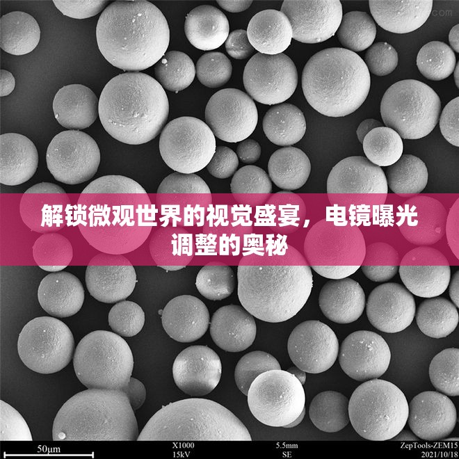 解鎖微觀世界的視覺盛宴，電鏡曝光調(diào)整的奧秘