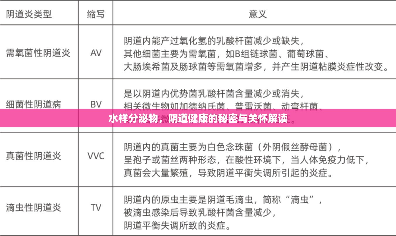 水樣分泌物，陰道健康的秘密與關(guān)懷解讀