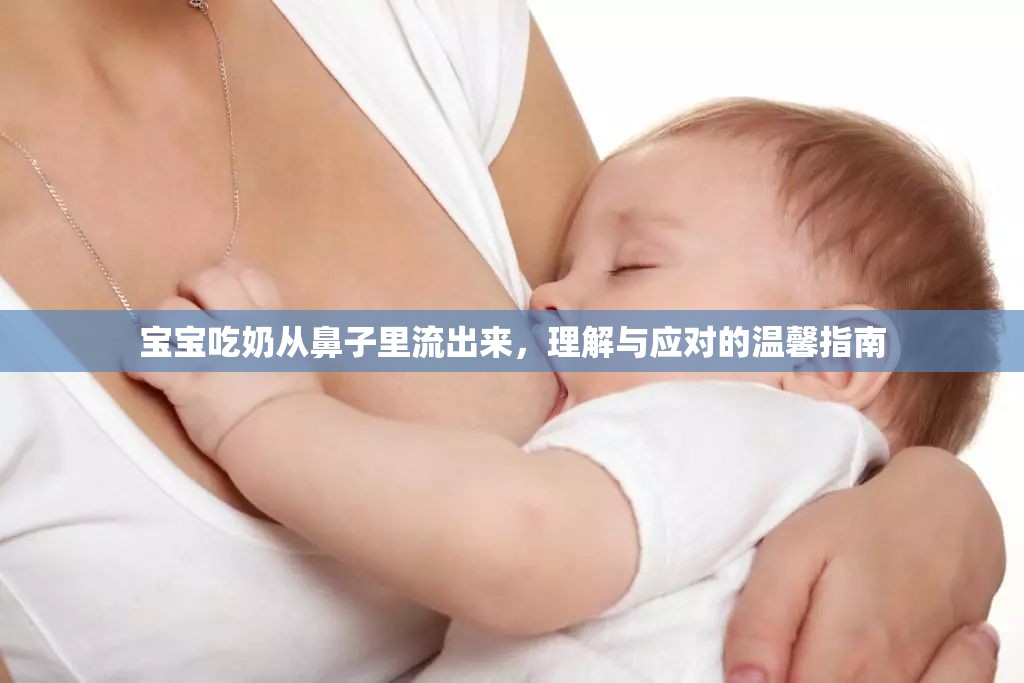 寶寶吃奶從鼻子里流出來，理解與應(yīng)對的溫馨指南