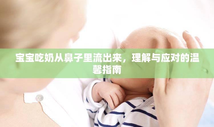 寶寶吃奶從鼻子里流出來，理解與應(yīng)對的溫馨指南
