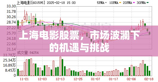 上海電影股票，市場(chǎng)波瀾下的機(jī)遇與挑戰(zhàn)