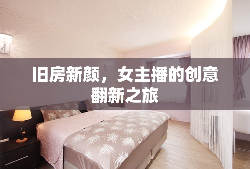舊房新顏，女主播的創(chuàng)意翻新之旅