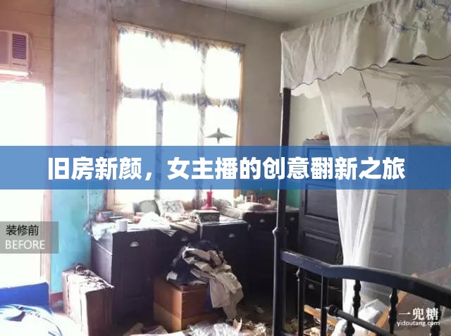 舊房新顏，女主播的創(chuàng)意翻新之旅