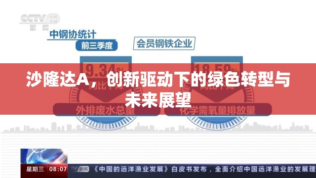 沙隆達(dá)A，創(chuàng)新驅(qū)動(dòng)下的綠色轉(zhuǎn)型與未來(lái)展望
