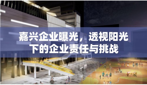 嘉興企業(yè)曝光，透視陽光下的企業(yè)責(zé)任與挑戰(zhàn)