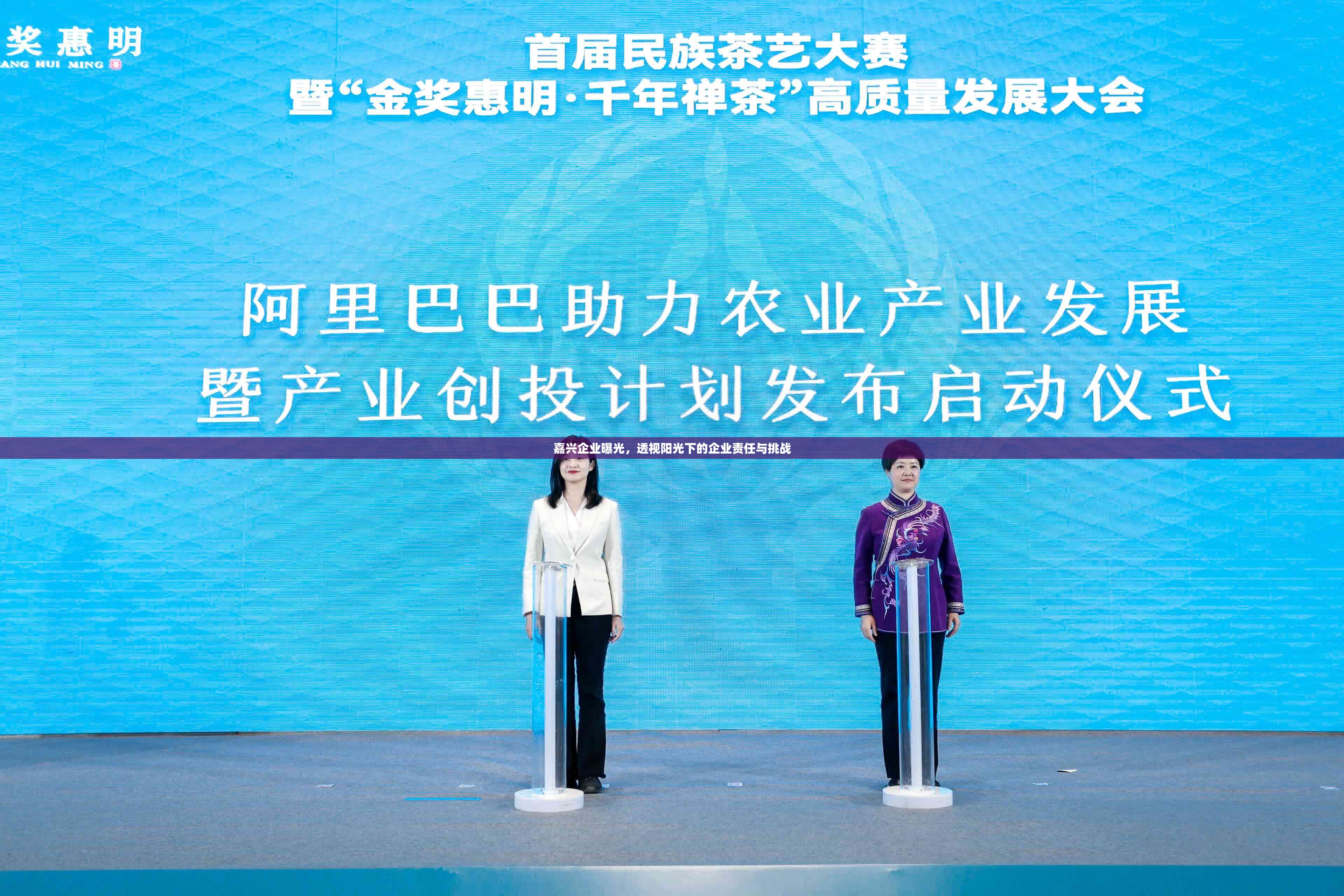 嘉興企業(yè)曝光，透視陽光下的企業(yè)責(zé)任與挑戰(zhàn)