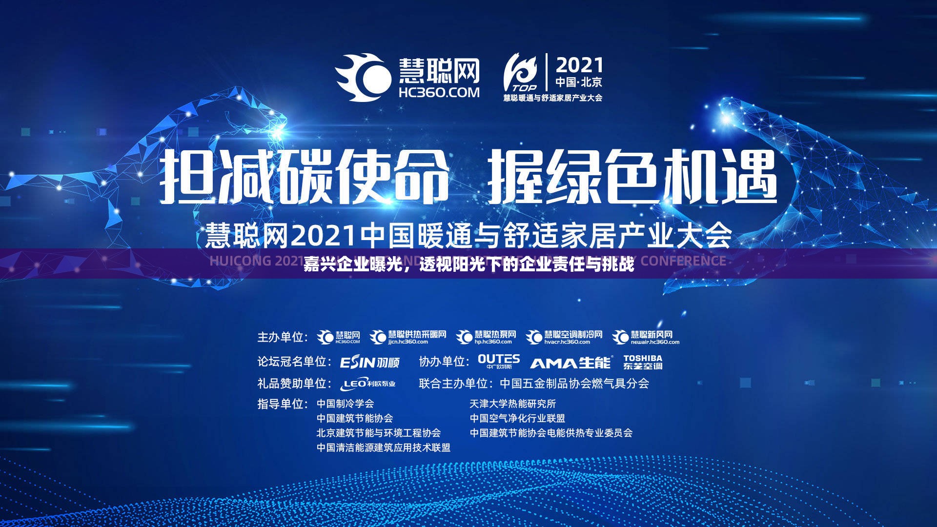 嘉興企業(yè)曝光，透視陽光下的企業(yè)責(zé)任與挑戰(zhàn)