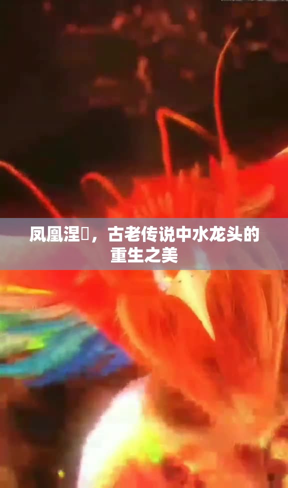 鳳凰涅槃，古老傳說(shuō)中水龍頭的重生之美