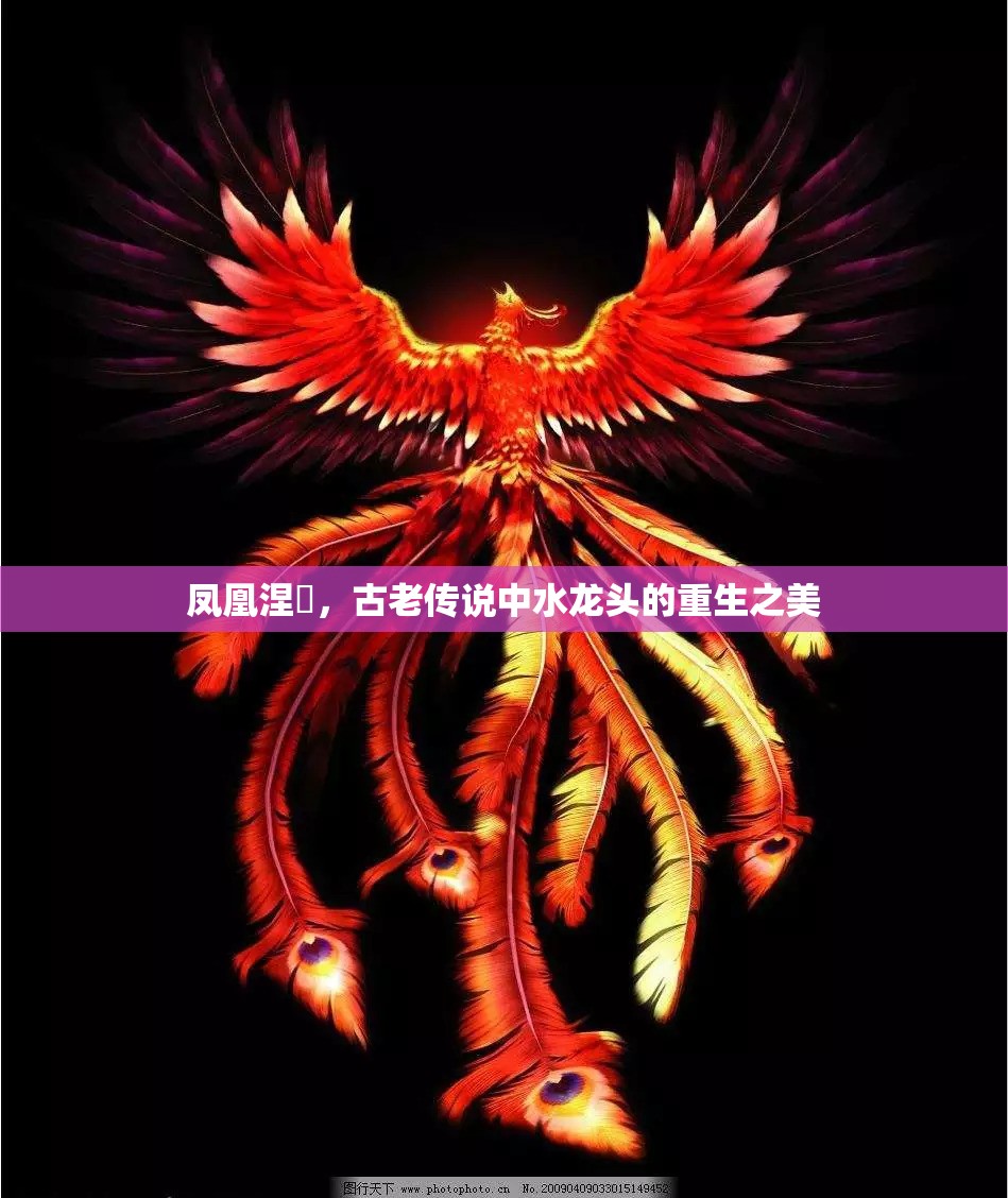 鳳凰涅槃，古老傳說(shuō)中水龍頭的重生之美